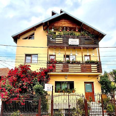 Pensiunea Cristiana Curtea de Argeş 外观 照片