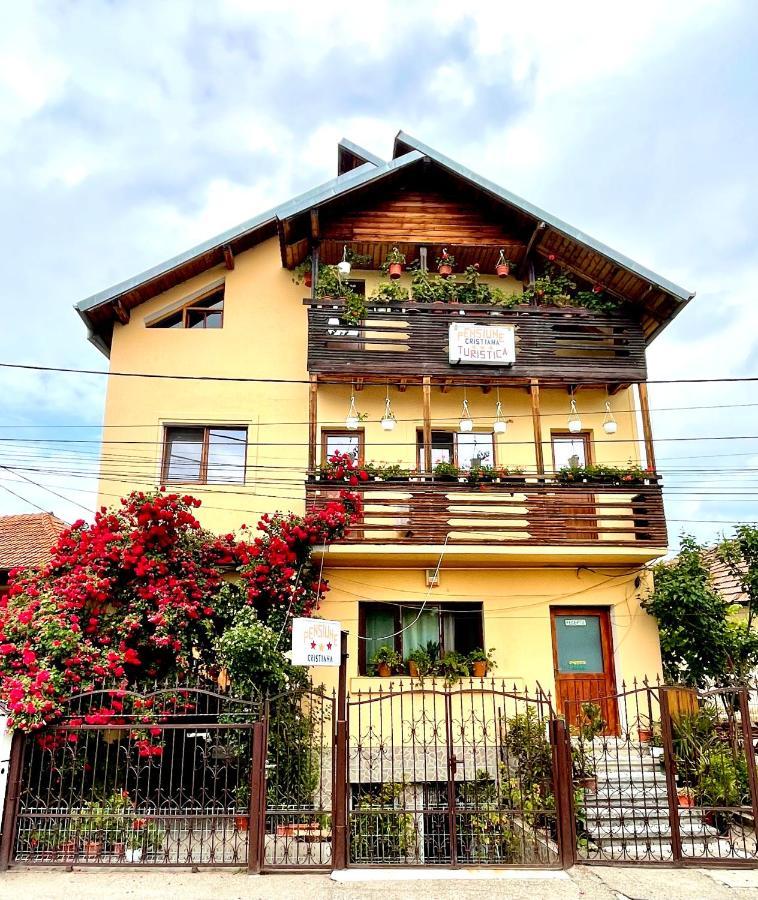 Pensiunea Cristiana Curtea de Argeş 外观 照片