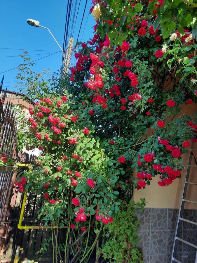 Pensiunea Cristiana Curtea de Argeş 外观 照片