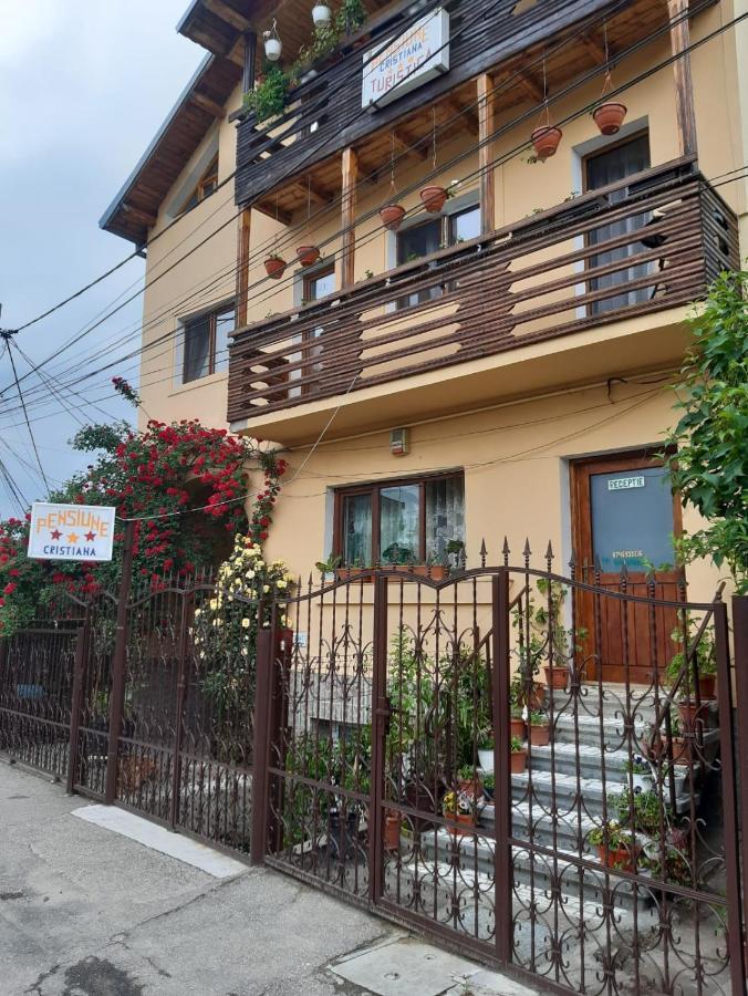 Pensiunea Cristiana Curtea de Argeş 外观 照片