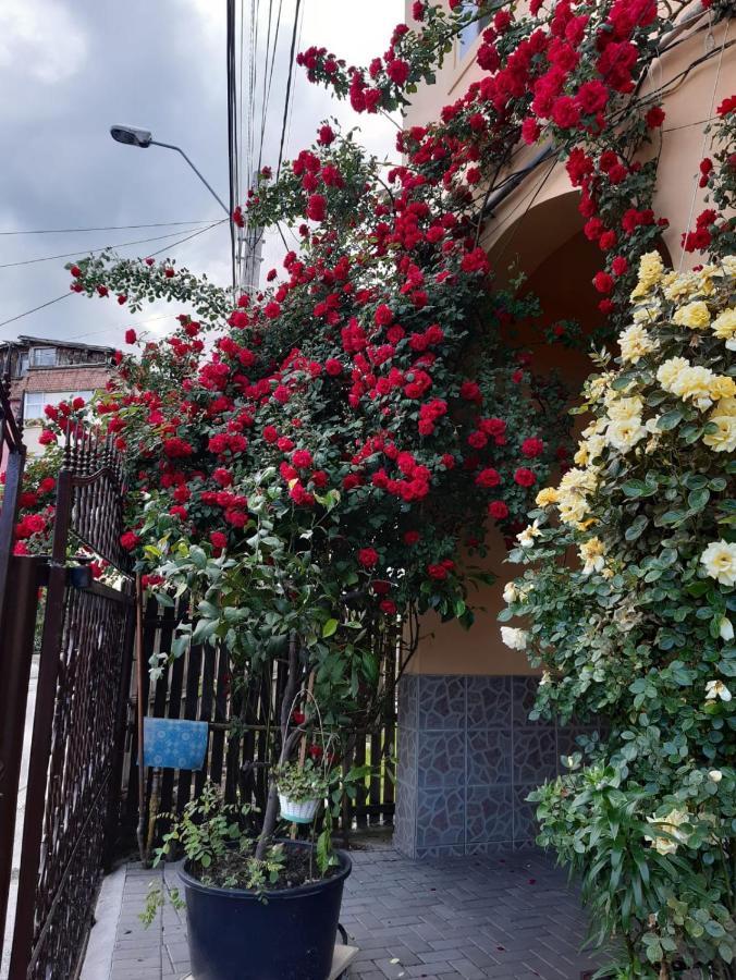 Pensiunea Cristiana Curtea de Argeş 外观 照片